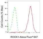 ROCK1 Antibody in Flow Cytometry (Flow)