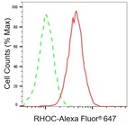 RhoC Antibody in Flow Cytometry (Flow)