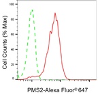 PMS2 Antibody in Flow Cytometry (Flow)