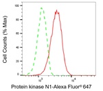 PKN1 Antibody in Flow Cytometry (Flow)