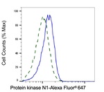 PKN1 Antibody in Flow Cytometry (Flow)