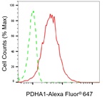 PDHA1 Antibody in Flow Cytometry (Flow)