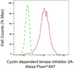 p16INK4a Antibody in Flow Cytometry (Flow)