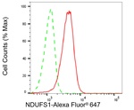 NDUFS1 Antibody in Flow Cytometry (Flow)