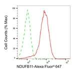 NDUFB11 Antibody in Flow Cytometry (Flow)