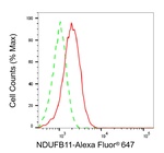 NDUFB11 Antibody in Flow Cytometry (Flow)
