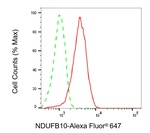 NDUFB10 Antibody in Flow Cytometry (Flow)