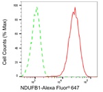 NDUFB1 Antibody in Flow Cytometry (Flow)