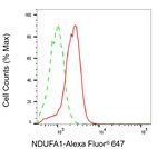 NDUFA1 Antibody in Flow Cytometry (Flow)