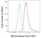 MUC4 Antibody in Flow Cytometry (Flow)