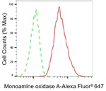 MAOA Antibody in Flow Cytometry (Flow)