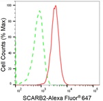 LIMP2 Antibody in Flow Cytometry (Flow)