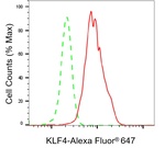 KLF4 Antibody in Flow Cytometry (Flow)