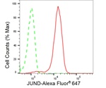 JunD Antibody in Flow Cytometry (Flow)