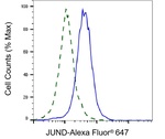 JunD Antibody in Flow Cytometry (Flow)