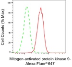 JNK2 Antibody in Flow Cytometry (Flow)