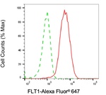VEGF Receptor 1 Antibody in Flow Cytometry (Flow)