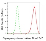 GYS1 Antibody in Flow Cytometry (Flow)