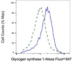 GYS1 Antibody in Flow Cytometry (Flow)