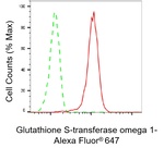 GST Omega 1 Antibody in Flow Cytometry (Flow)