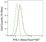 FHL1 Antibody in Flow Cytometry (Flow)