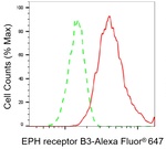 EphB3 Antibody in Flow Cytometry (Flow)