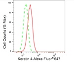 Cytokeratin 4 Antibody in Flow Cytometry (Flow)