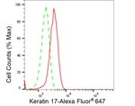 Cytokeratin 17 Antibody in Flow Cytometry (Flow)