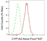 CYP1A2 Antibody in Flow Cytometry (Flow)