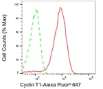 Cyclin T1 Antibody in Flow Cytometry (Flow)