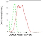 Cyclin E Antibody in Flow Cytometry (Flow)