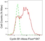 Cyclin B1 Antibody in Flow Cytometry (Flow)