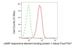 CREB Antibody in Flow Cytometry (Flow)