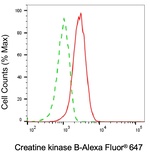 Creatine Kinase BB Antibody in Flow Cytometry (Flow)