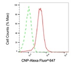 CNP Antibody in Flow Cytometry (Flow)