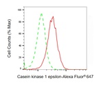 CK1 epsilon Antibody in Flow Cytometry (Flow)