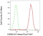 CK1 alpha Antibody in Flow Cytometry (Flow)