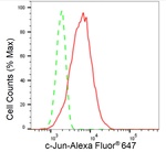 c-Jun Antibody in Flow Cytometry (Flow)