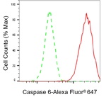 Caspase 6 Antibody in Flow Cytometry (Flow)