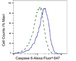 Caspase 6 Antibody in Flow Cytometry (Flow)
