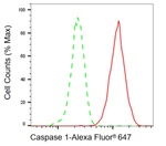 Caspase 1 Antibody in Flow Cytometry (Flow)