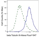 Beta III Tubulin Antibody in Flow Cytometry (Flow)