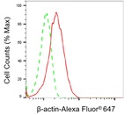 beta Actin Antibody in Flow Cytometry (Flow)