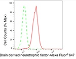 BDNF Antibody in Flow Cytometry (Flow)