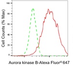 Aurora B Antibody in Flow Cytometry (Flow)