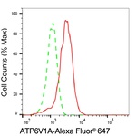 ATP6V1A Antibody in Flow Cytometry (Flow)
