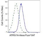 ATP6V1A Antibody in Flow Cytometry (Flow)