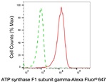 ATP Synthase gamma Antibody in Flow Cytometry (Flow)