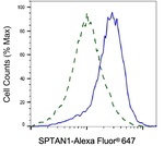 SPTAN1 Antibody in Flow Cytometry (Flow)