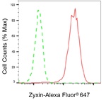 Zyxin Antibody in Flow Cytometry (Flow)